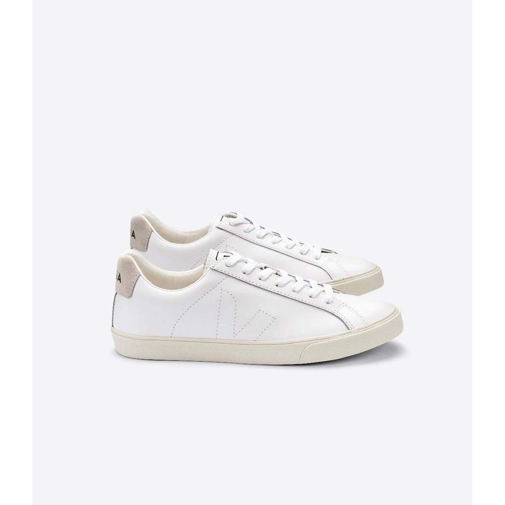 Women\'s Veja ESPLAR LEATHER Sneakers White/Beige | SG 621HAP